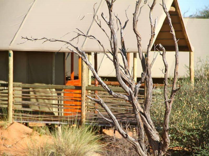 Suricate Tented Lodge Mariental Exterior foto