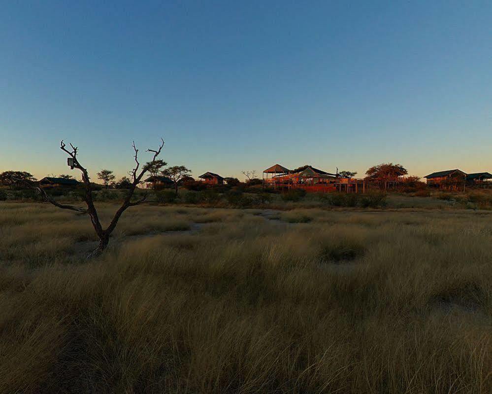 Suricate Tented Lodge Mariental Exterior foto